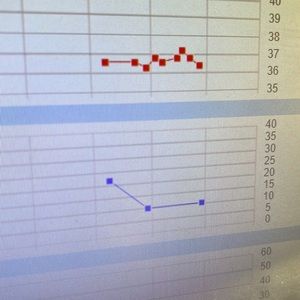 Meet your Posher, Borna